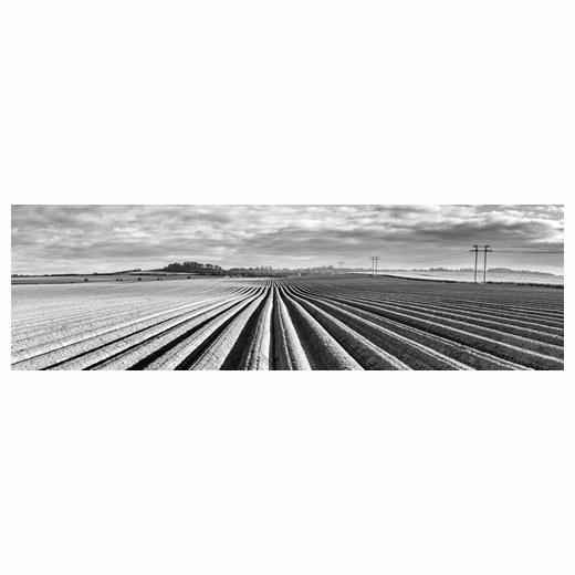 Lines in the landscape