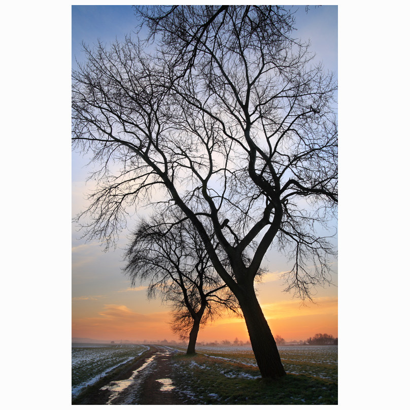 Winter sunrise