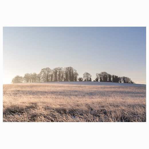 Frosty Gog Magogs