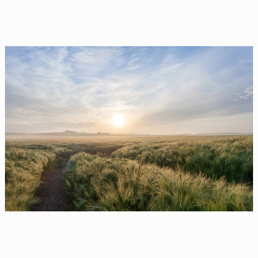 Summer sunrise Stapleford