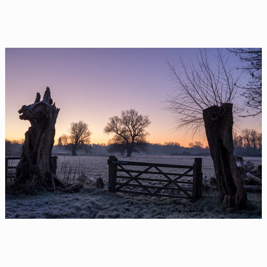 Dragons head Grantchester