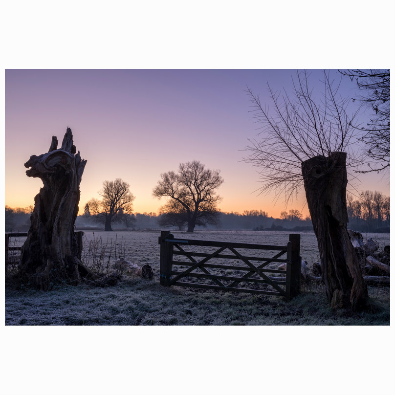 Dragons head Grantchester