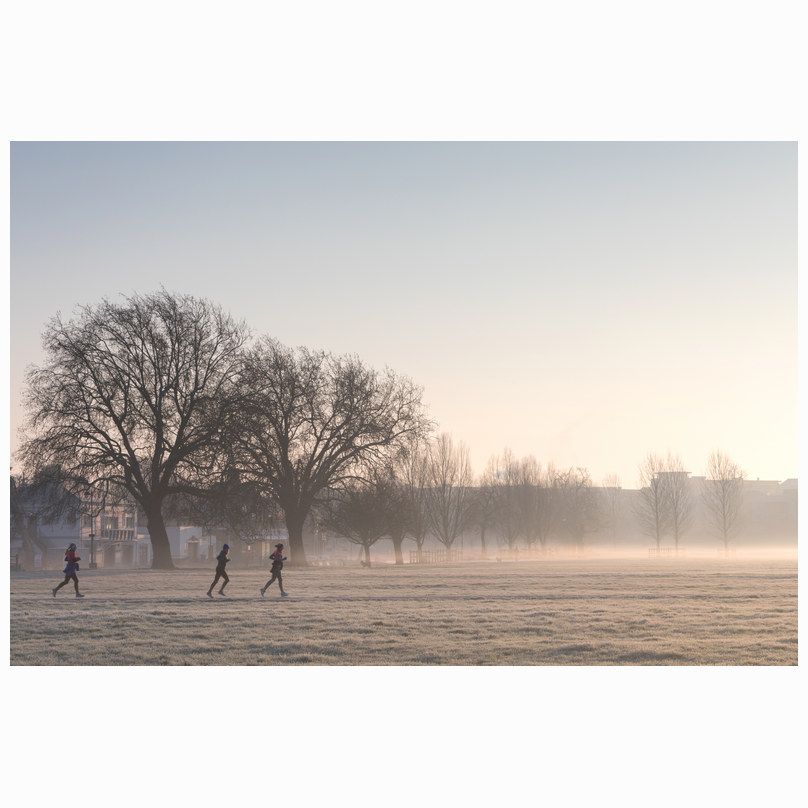 Joggers on the path