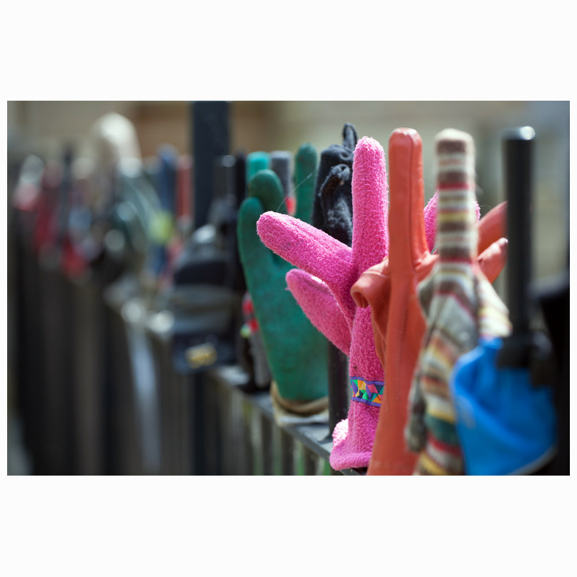Gloves on the fence