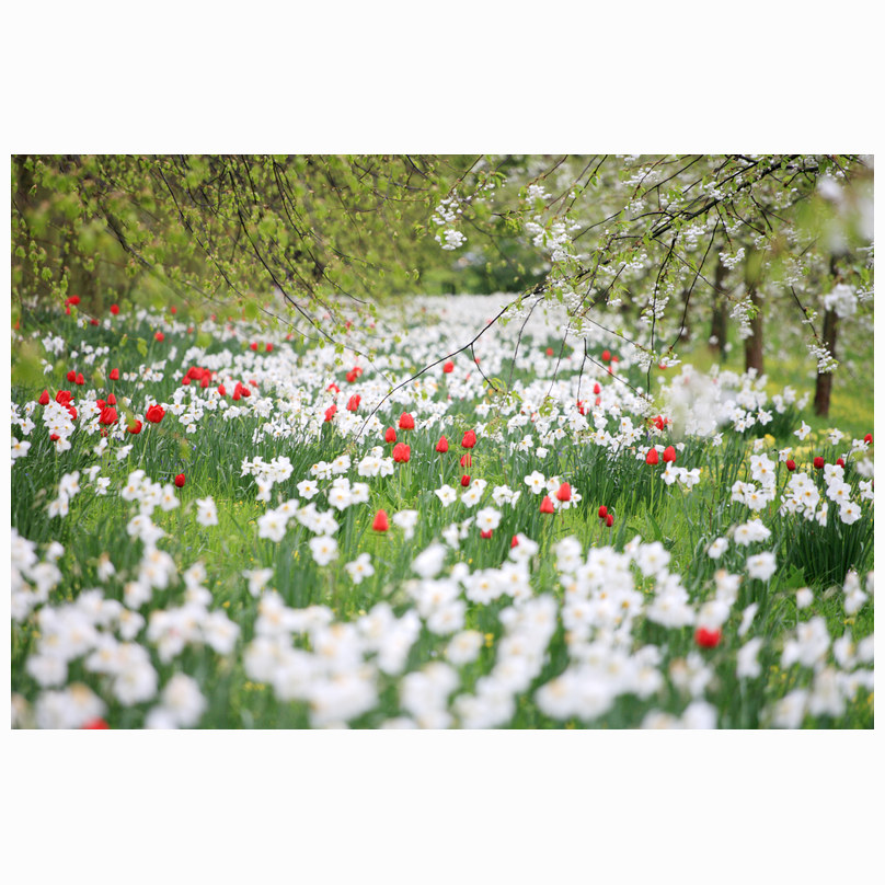 Spring on the Backs