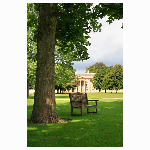 Downing College bench