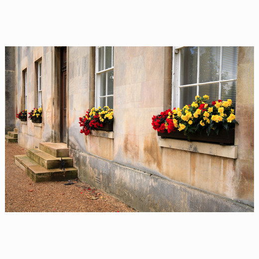 Window Boxes Downing College