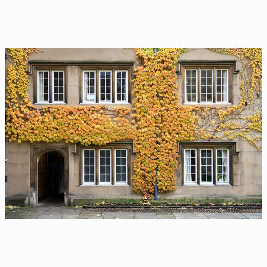 Autumn Sidney Sussex