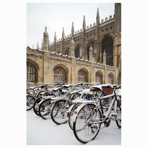 Bikes in the snow