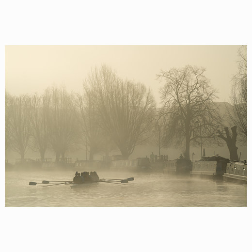 Sunrise rowers