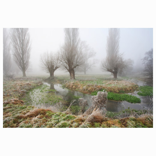 Misty Fen Causeway