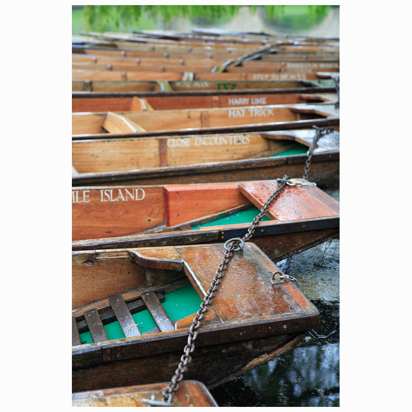 Trinity Punts