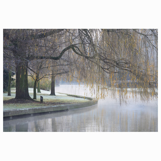 Mist rising