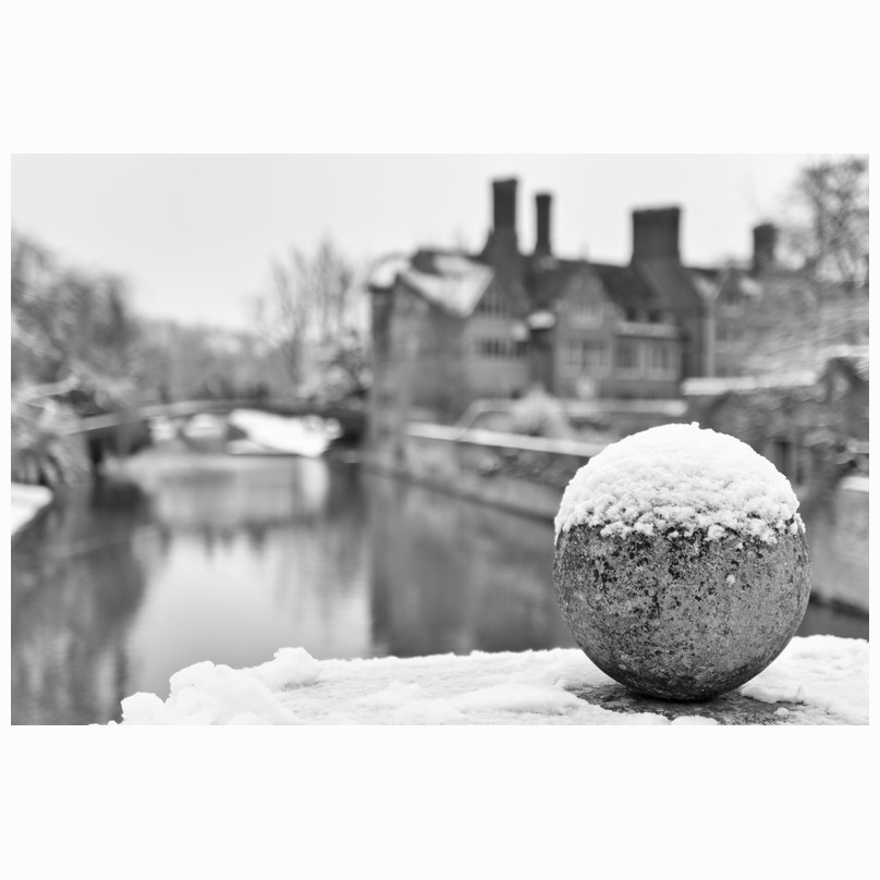 Snow Ball