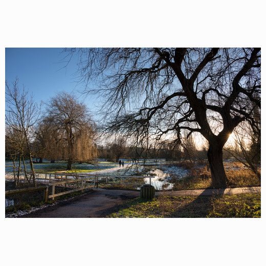 Mill Pond morning